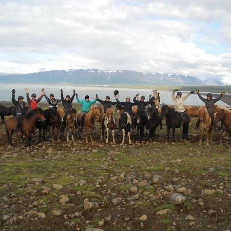 Icelandhorsetours - Helluland Saudarkrokur Esterno foto