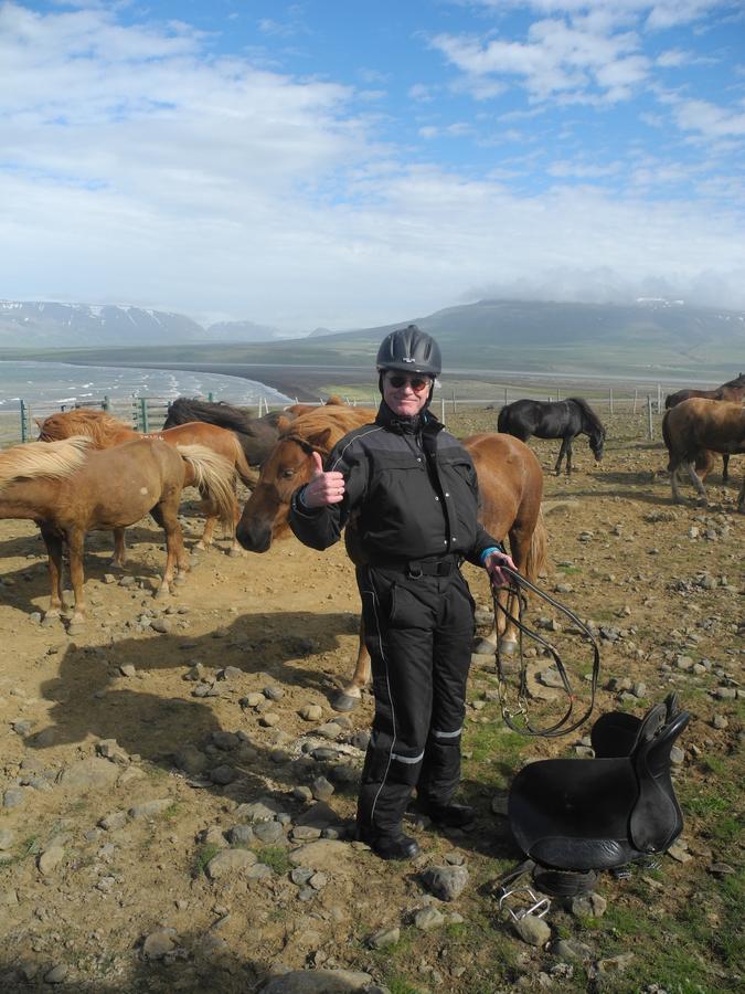 Icelandhorsetours - Helluland Saudarkrokur Esterno foto