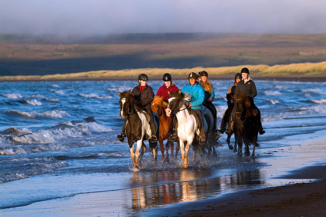 Icelandhorsetours - Helluland Saudarkrokur Esterno foto