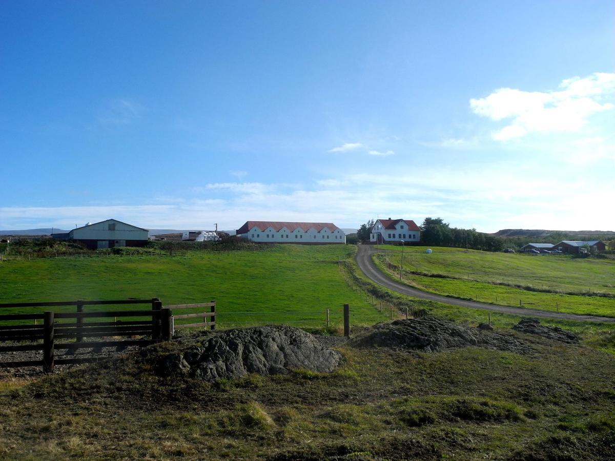 Icelandhorsetours - Helluland Saudarkrokur Esterno foto