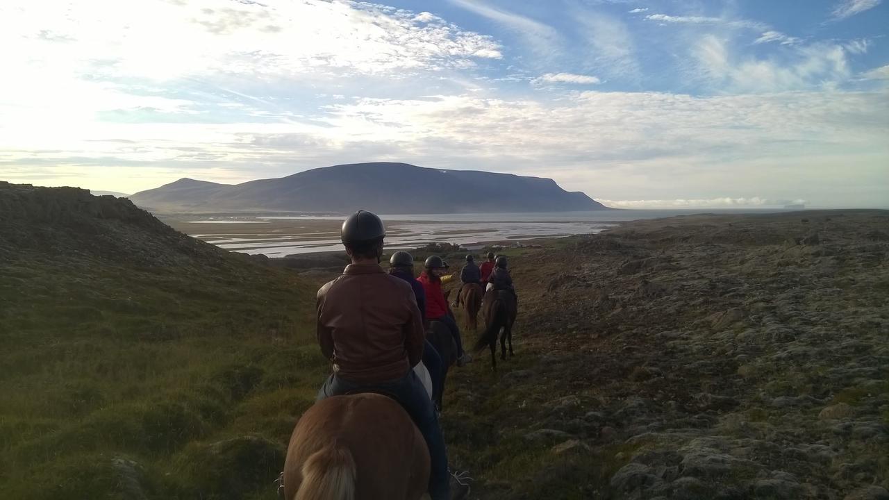 Icelandhorsetours - Helluland Saudarkrokur Esterno foto