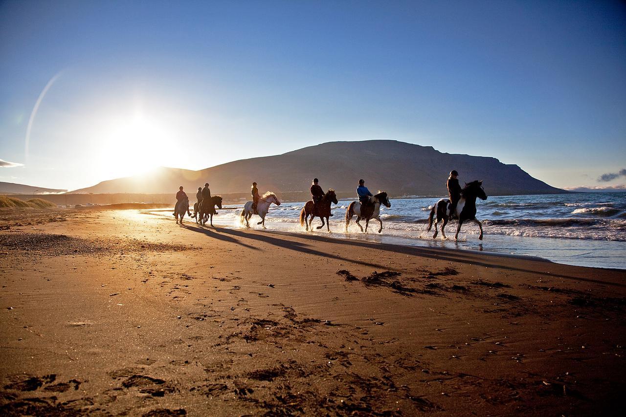 Icelandhorsetours - Helluland Saudarkrokur Esterno foto