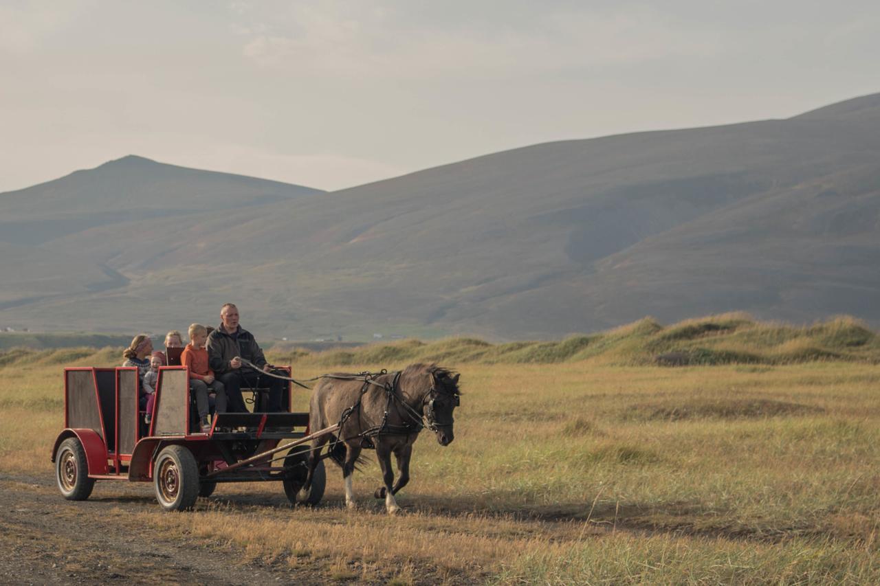 Icelandhorsetours - Helluland Saudarkrokur Esterno foto