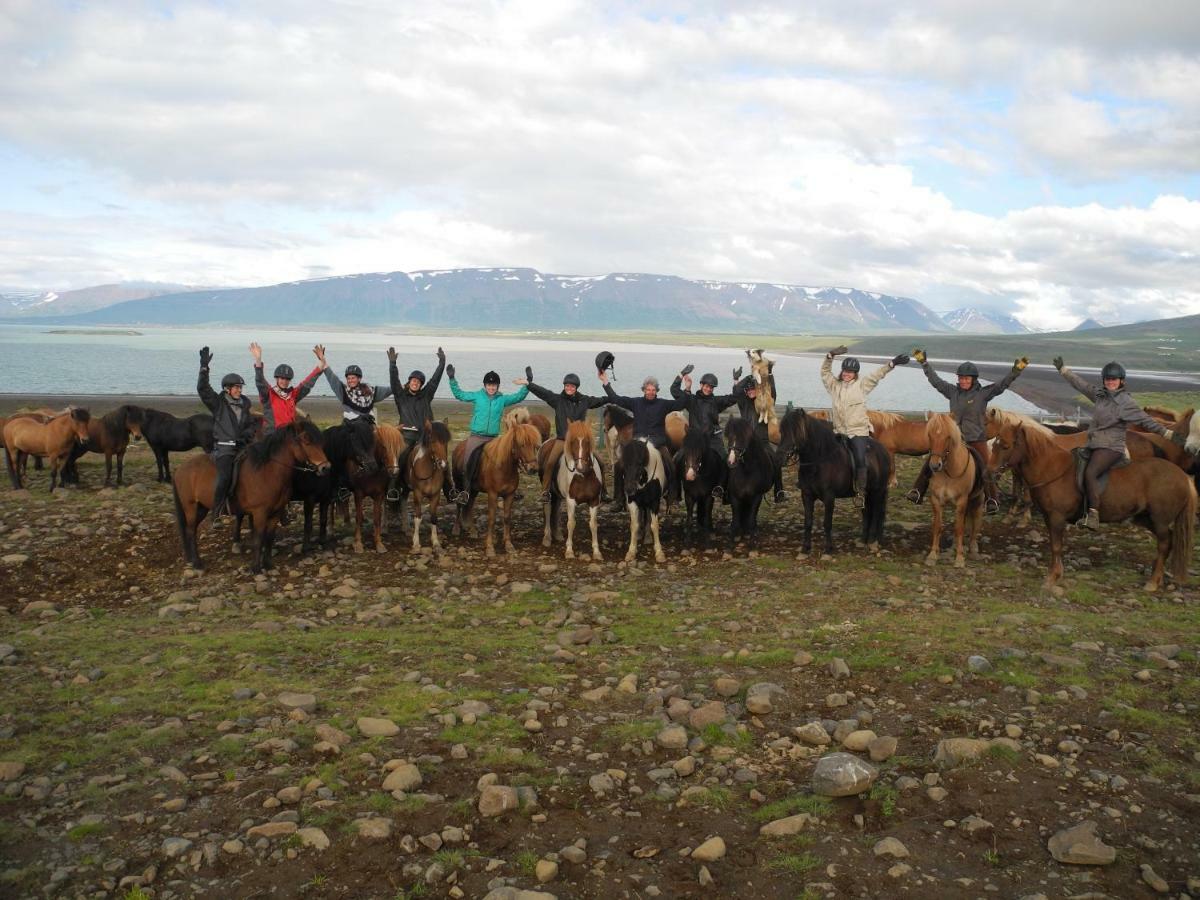 Icelandhorsetours - Helluland Saudarkrokur Esterno foto